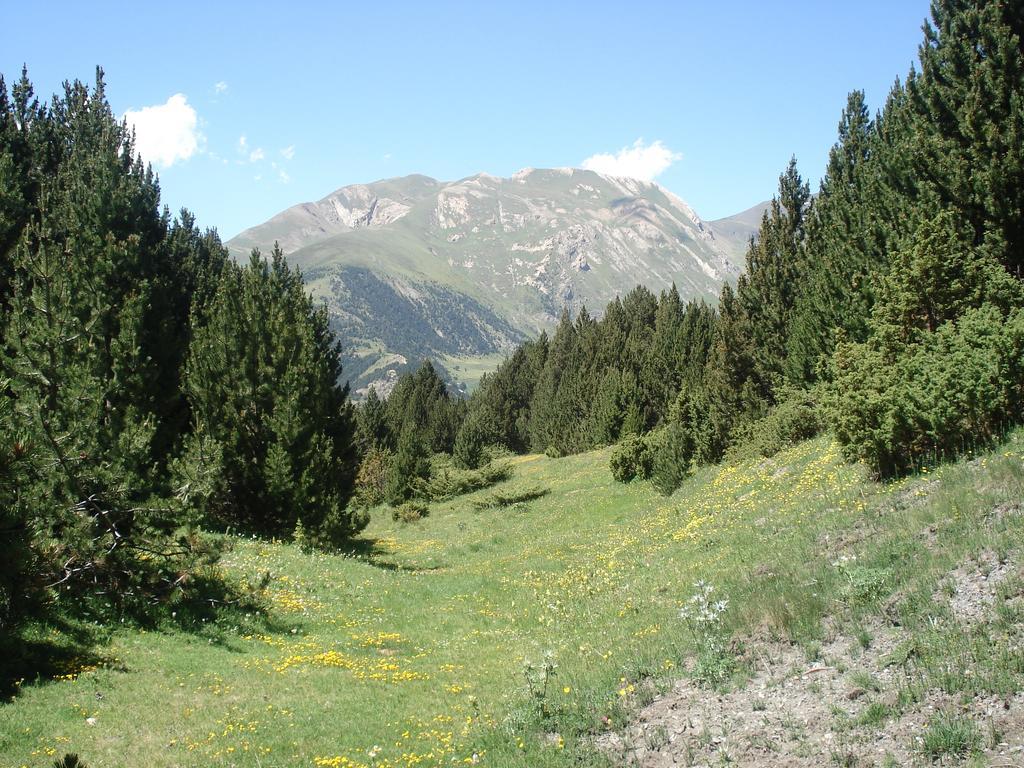 Xalet Les Avellanes - Hut 7335 Villa Arinsal Buitenkant foto